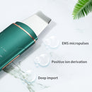 Ultrasonic Face Scrubber