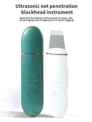 Ultrasonic Face Scrubber